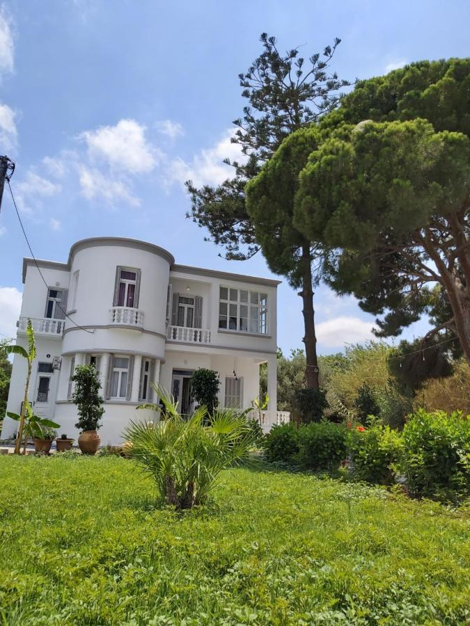 Tower Traditional Pool Villa Kremastí 外观 照片
