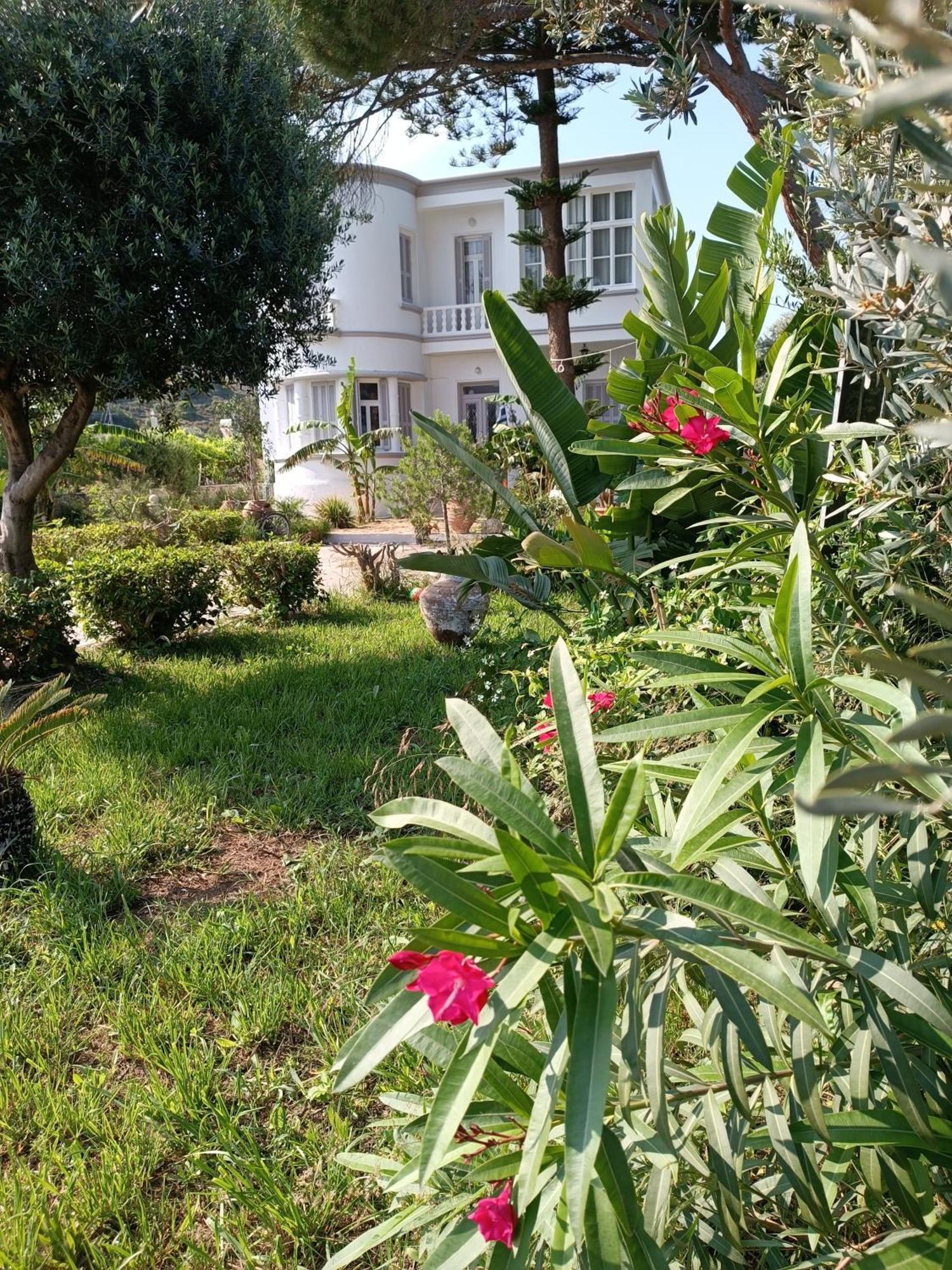 Tower Traditional Pool Villa Kremastí 外观 照片